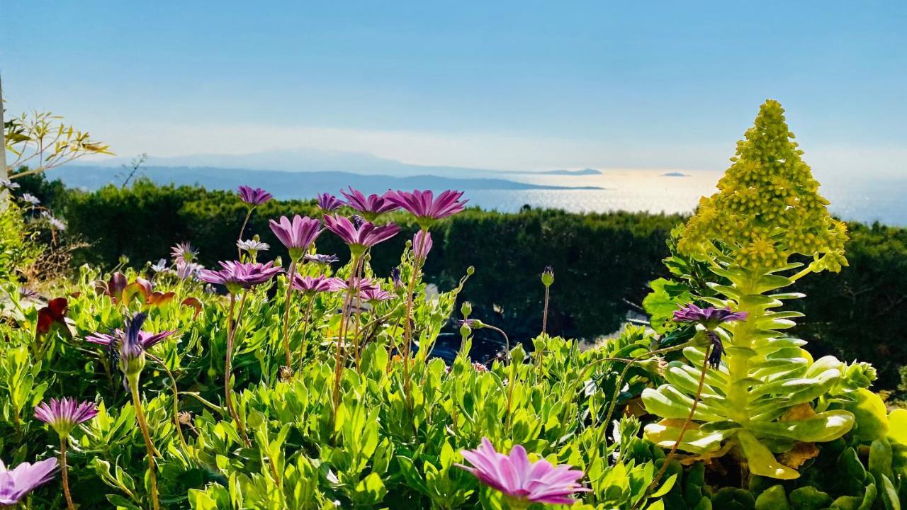 Vue Mer Panoramique Et Piscine Bandol Buitenkant foto