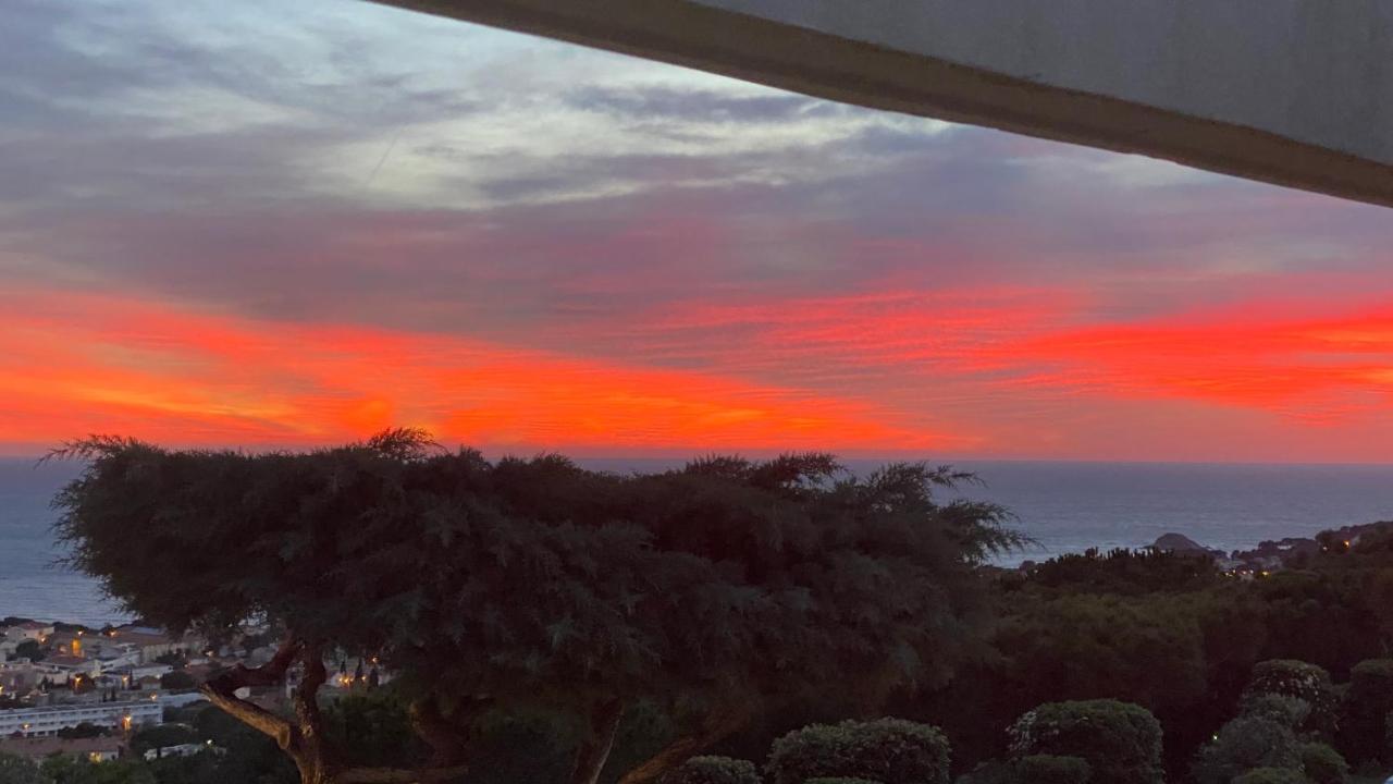 Vue Mer Panoramique Et Piscine Bandol Buitenkant foto