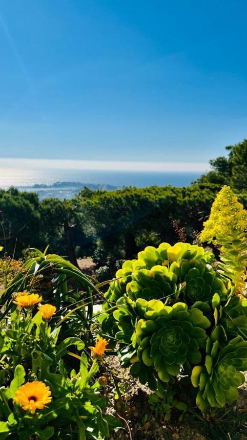 Vue Mer Panoramique Et Piscine Bandol Buitenkant foto